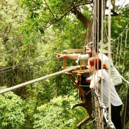 Tree-Top-Walking-Lake-Manyara Tree-Top-Walking-Lake-Manyara