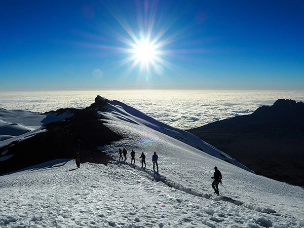 A group of hikers exploring Kilimanjaro National Park with JM Tours.