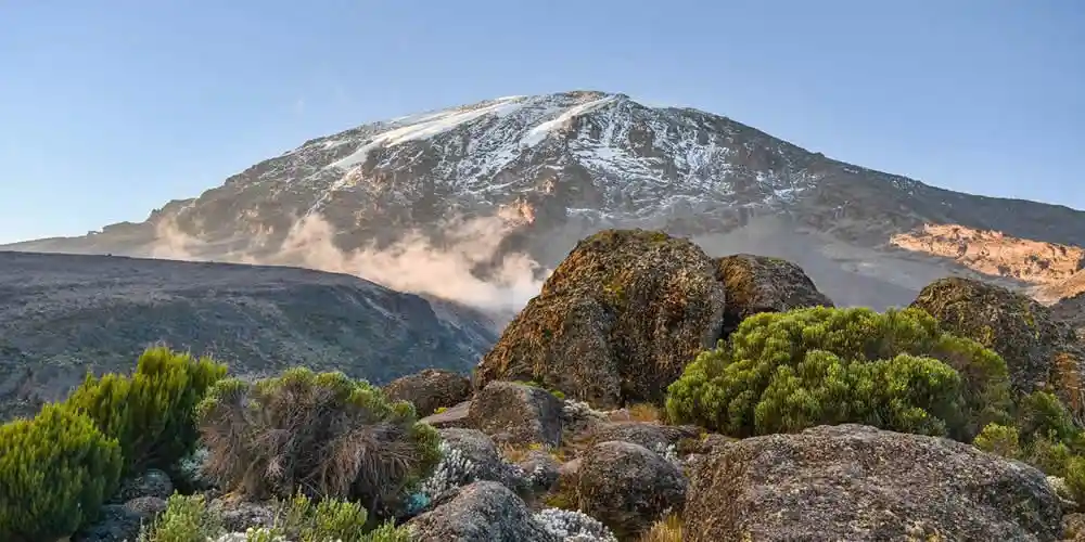 Kilimanjaro Safaris and Tours: Explore the Wild with JM Tours
