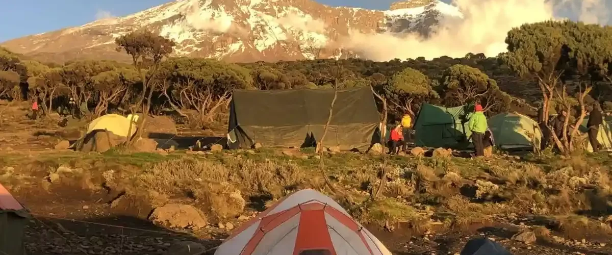 A group of hikers trekking on the Kilimanjaro Shira route