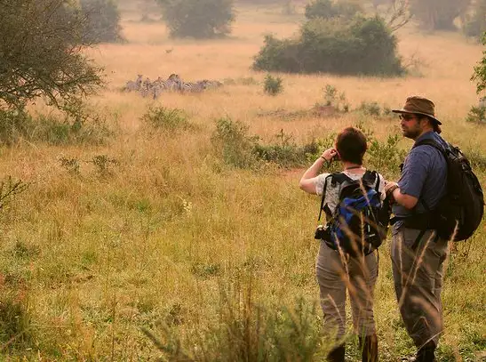 Lake Manyara National Park travel articles, featuring insights and tips by JM Tours.