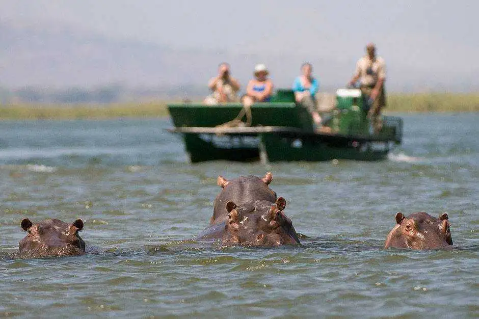 Scenic view of Lake Manyara National Park wildlife and landscapes