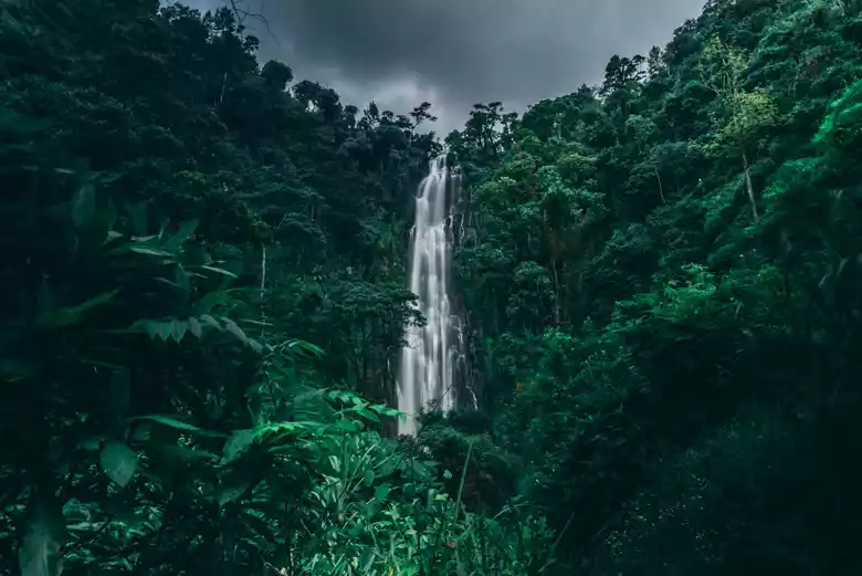 Majestic Materuni Waterfall in Kilimanjaro National Park, surrounded by lush greenery."