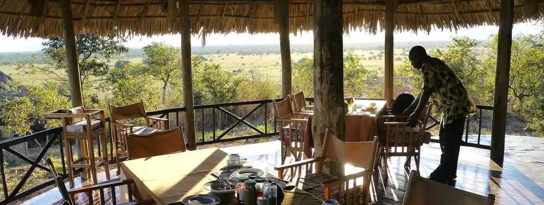 Mikumi Safari Lodge - Unforgettable Wildlife Experiences in Mikumi National Park