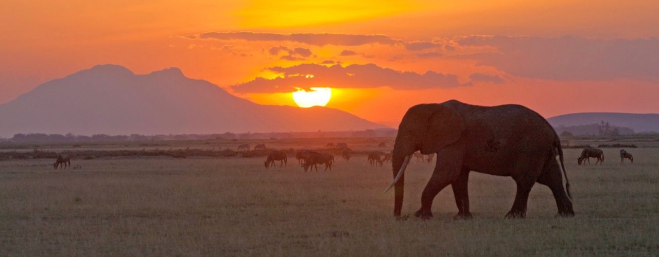 Unleash the Spirit of Adventure: Northern Tanzania Adventure with JM Tours