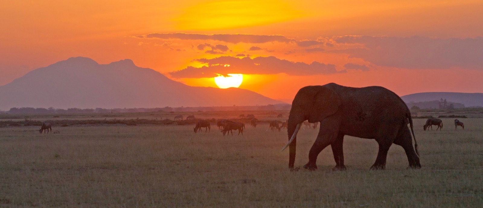 Unleash the Spirit of Adventure: Northern Tanzania Adventure with JM Tours