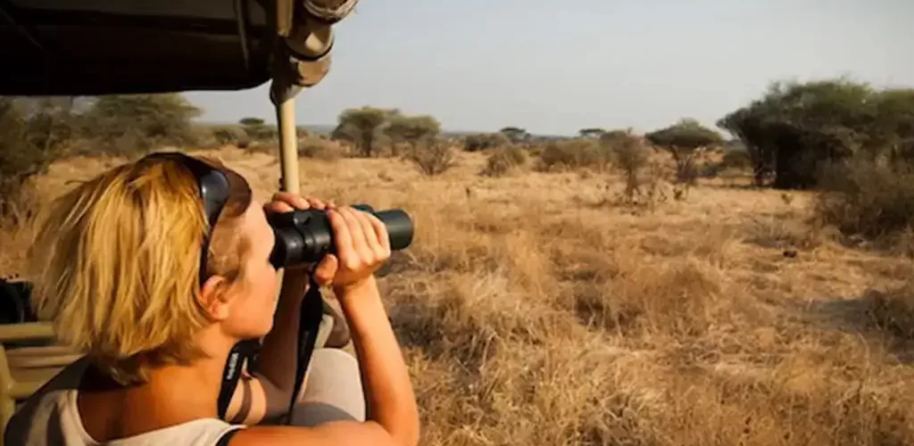 Private Safari in Tanzania - Exclusive Adventures with JM Tours