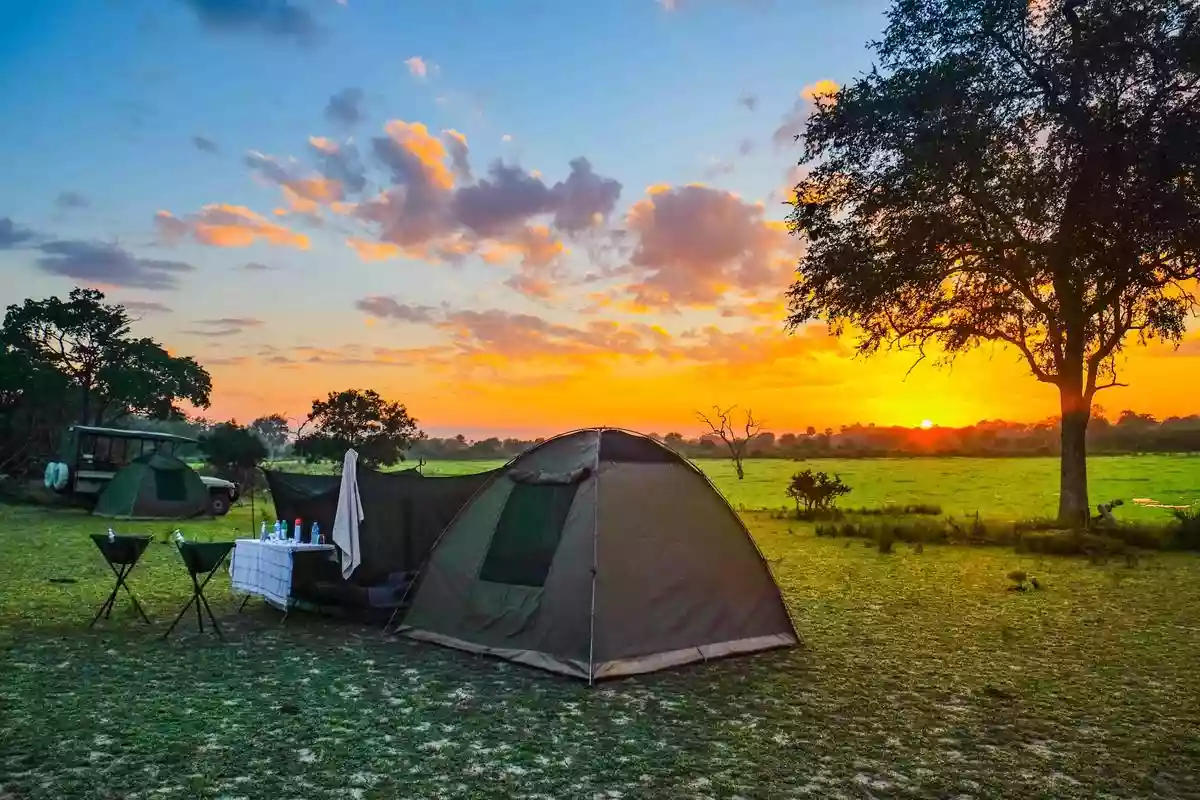 Selous Game Drive – Unforgettable wildlife encounters in Tanzania's Selous Game Reserve.