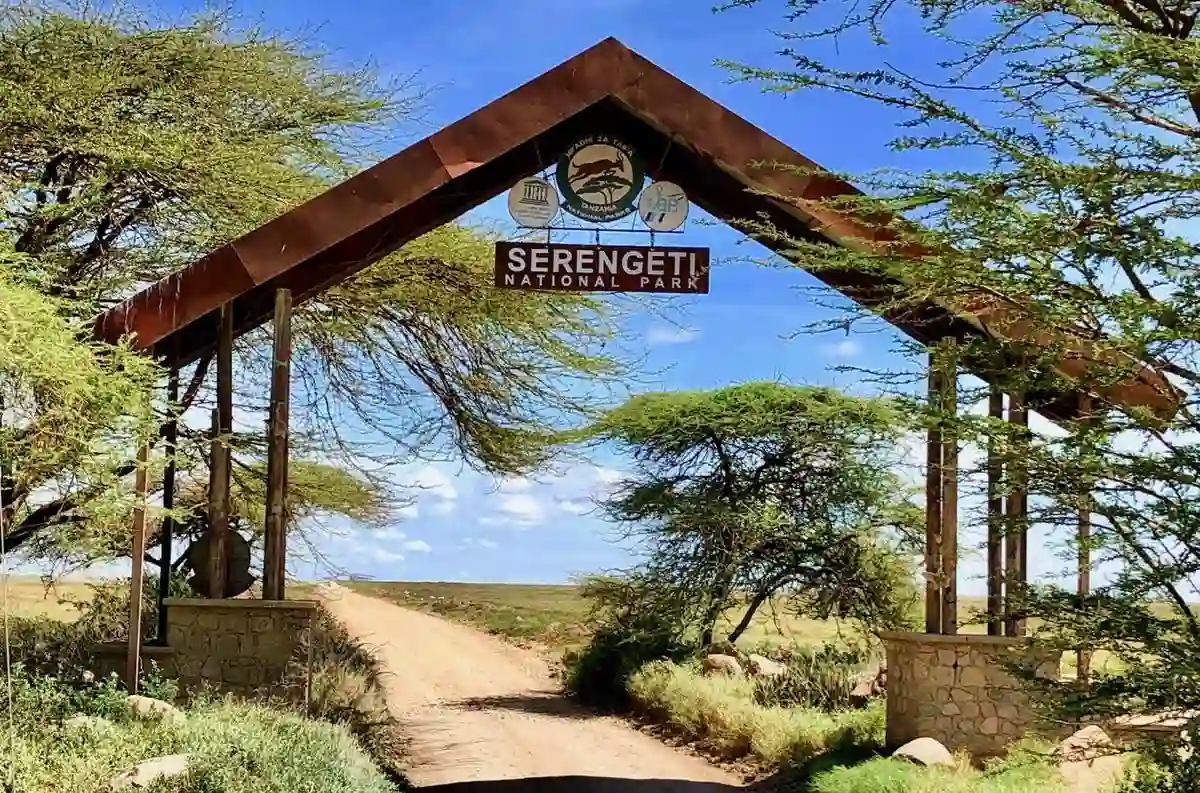 Aerial view of Serengeti National Park, showcasing its vast landscapes and wildlife.