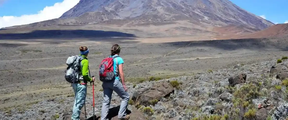 Kilimanjaro Nature and Culture: A Harmonious Encounter for Two Hikers with JM Tours