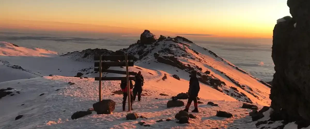 Kilimanjaro Lemosho Route - 8 Days: Summit Adventure