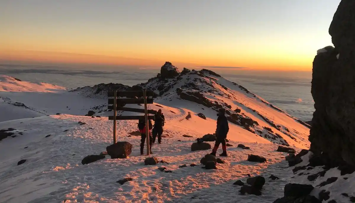 Kilimanjaro Lemosho Route - 8 Days: Summit Adventure