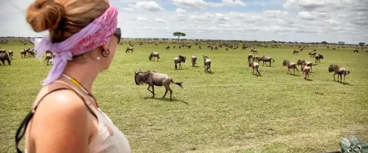 Ngorongoro Crater Day Trip - Discovering Natural Wonders