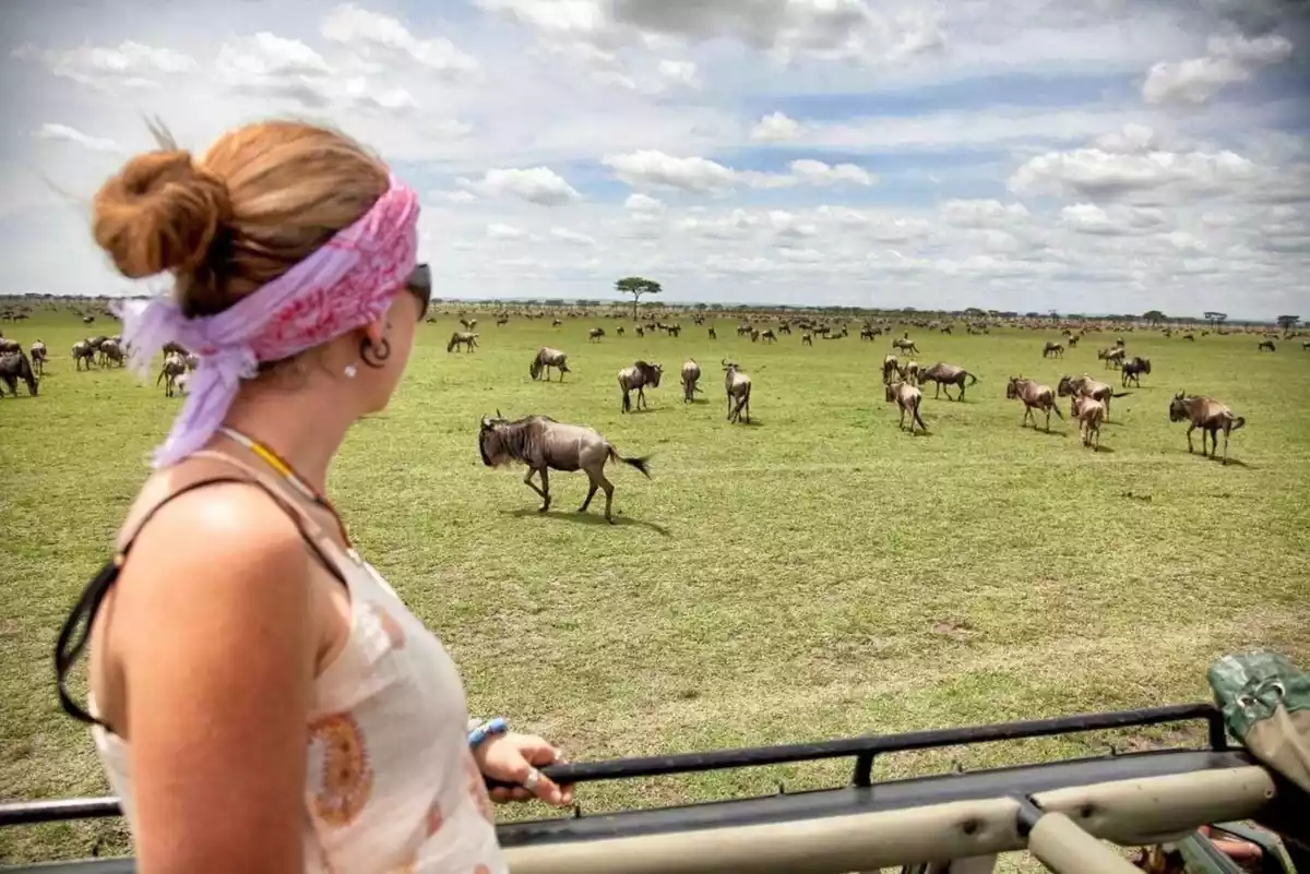 Ngorongoro Crater Day Trip - Discovering Natural Wonders