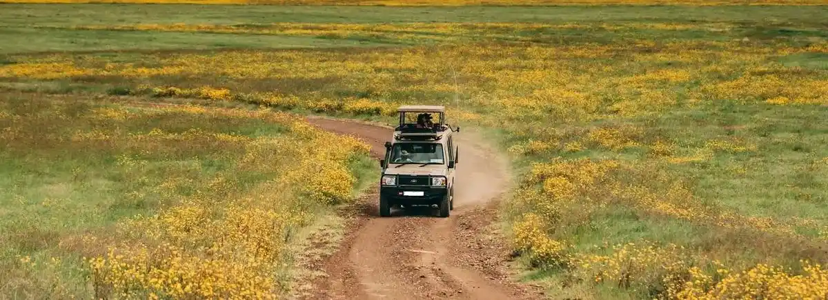 Awe-inspiring Tanzania Safari in April at Ngorongoro National Park: Witness majestic wildlife in their natural habitat.