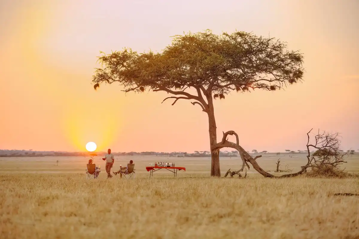 Tarangire Wildlife Extravaganza: Discovering Nature's Splendor