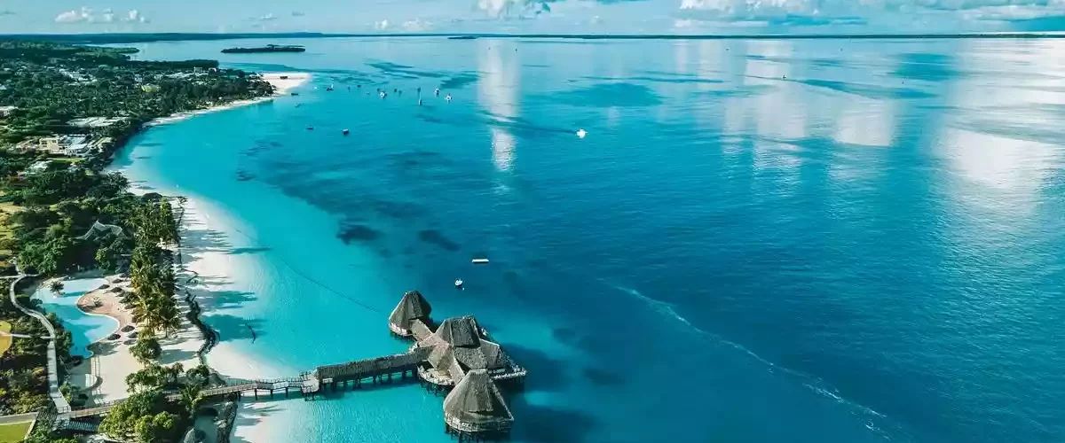 Where to Travel in Tanzania in August: Exploring Wildlife and Nature
